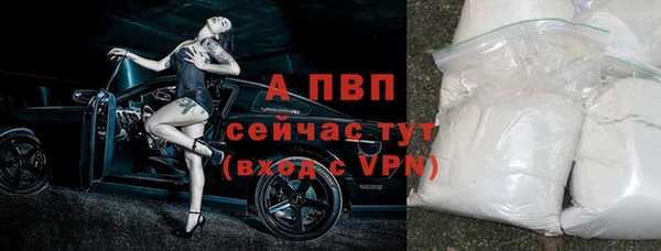 дживик Абаза