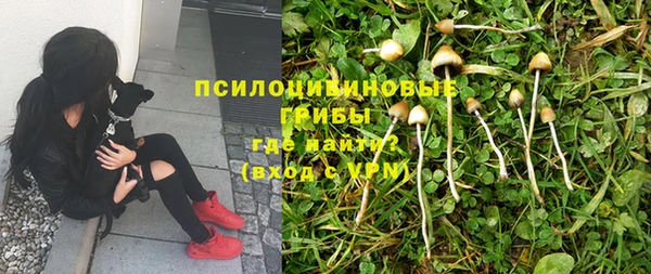 соль ск Абинск
