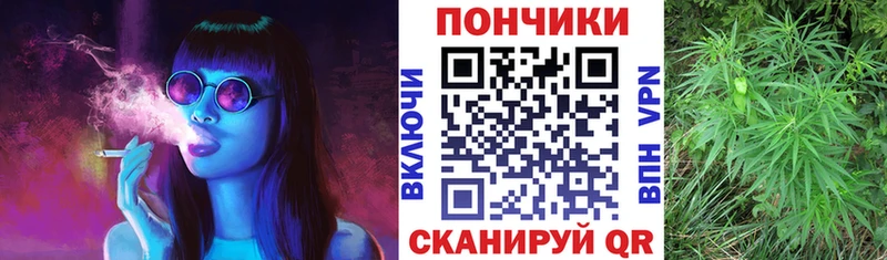 МЕГА   мориарти клад  Бошки Шишки план  Подольск 